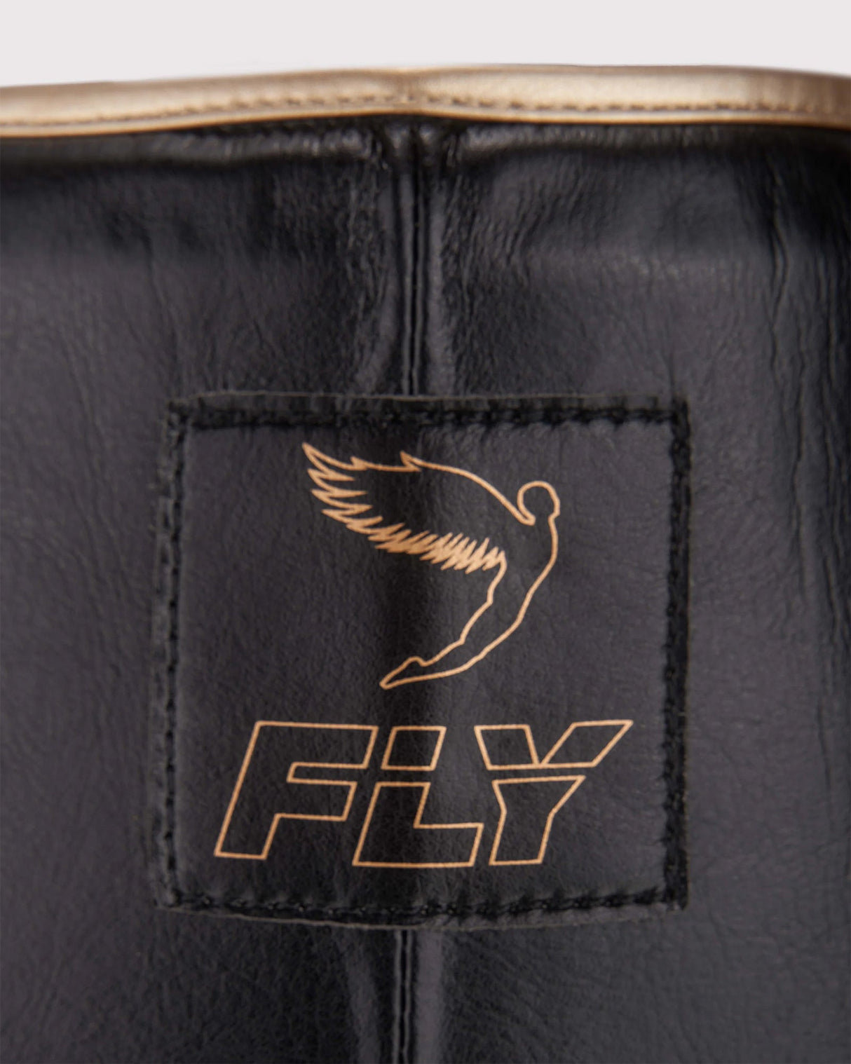Fly Wraith X Groin Guard Black/Gold