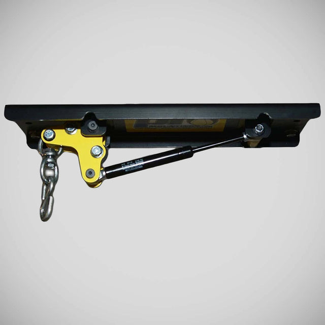 Pro Mountings CM-1000GS Ceiling Mount