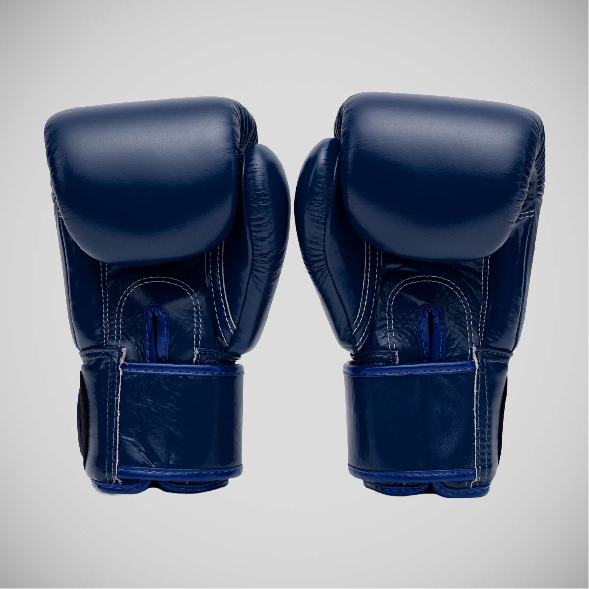 BGV1 Fairtex Universal Handschuhe Blau