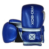 Pro-Box Champ Spar Boxing Gloves Blue/Silver