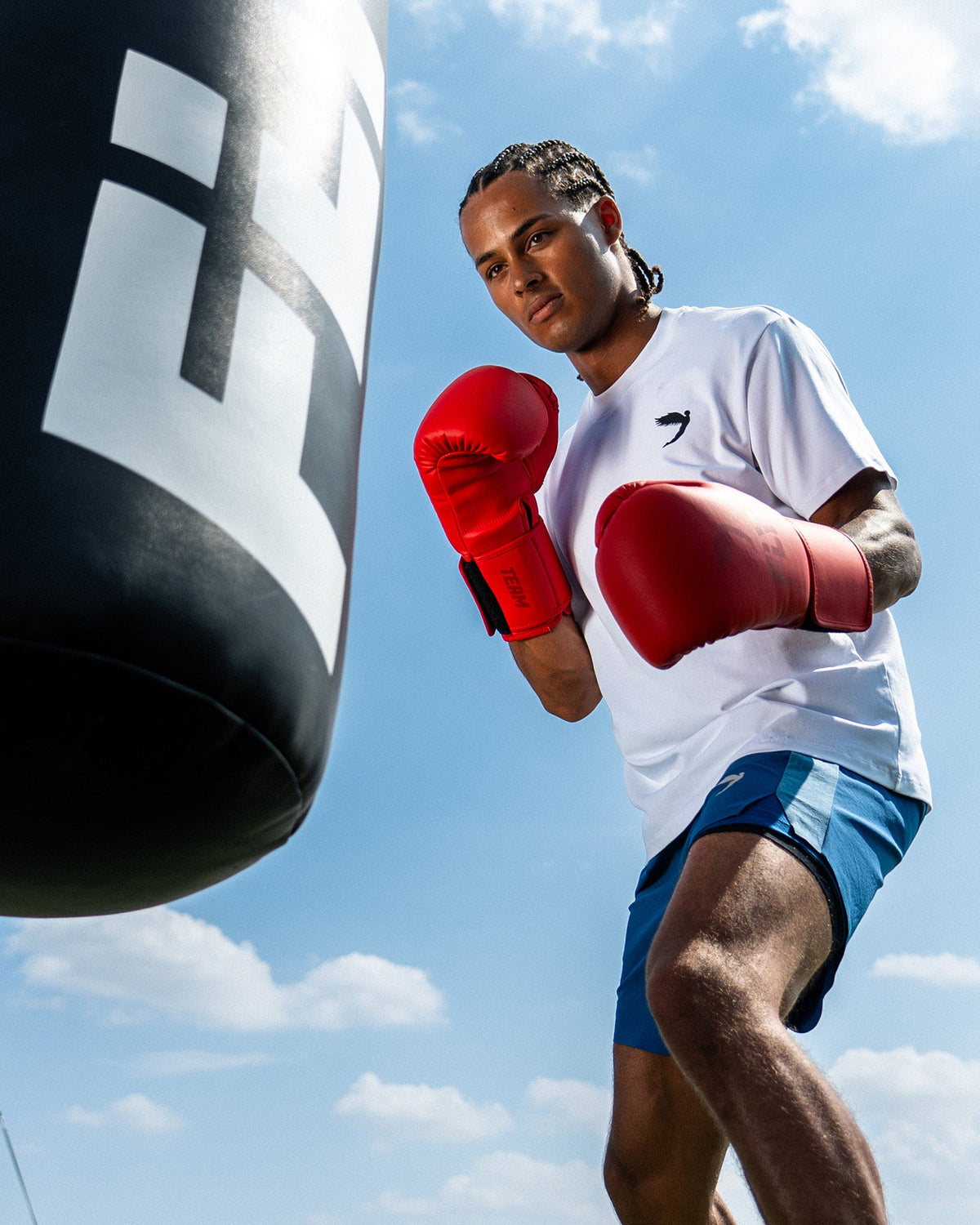 Fly Superloop Team Boxing Gloves Red