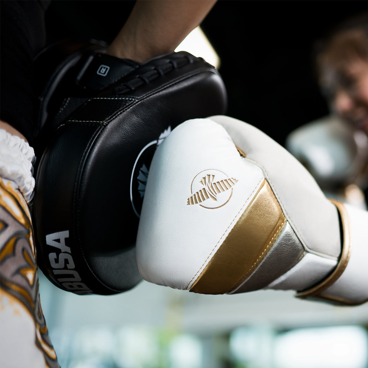 Hayabusa pts3 focus wanten zwart