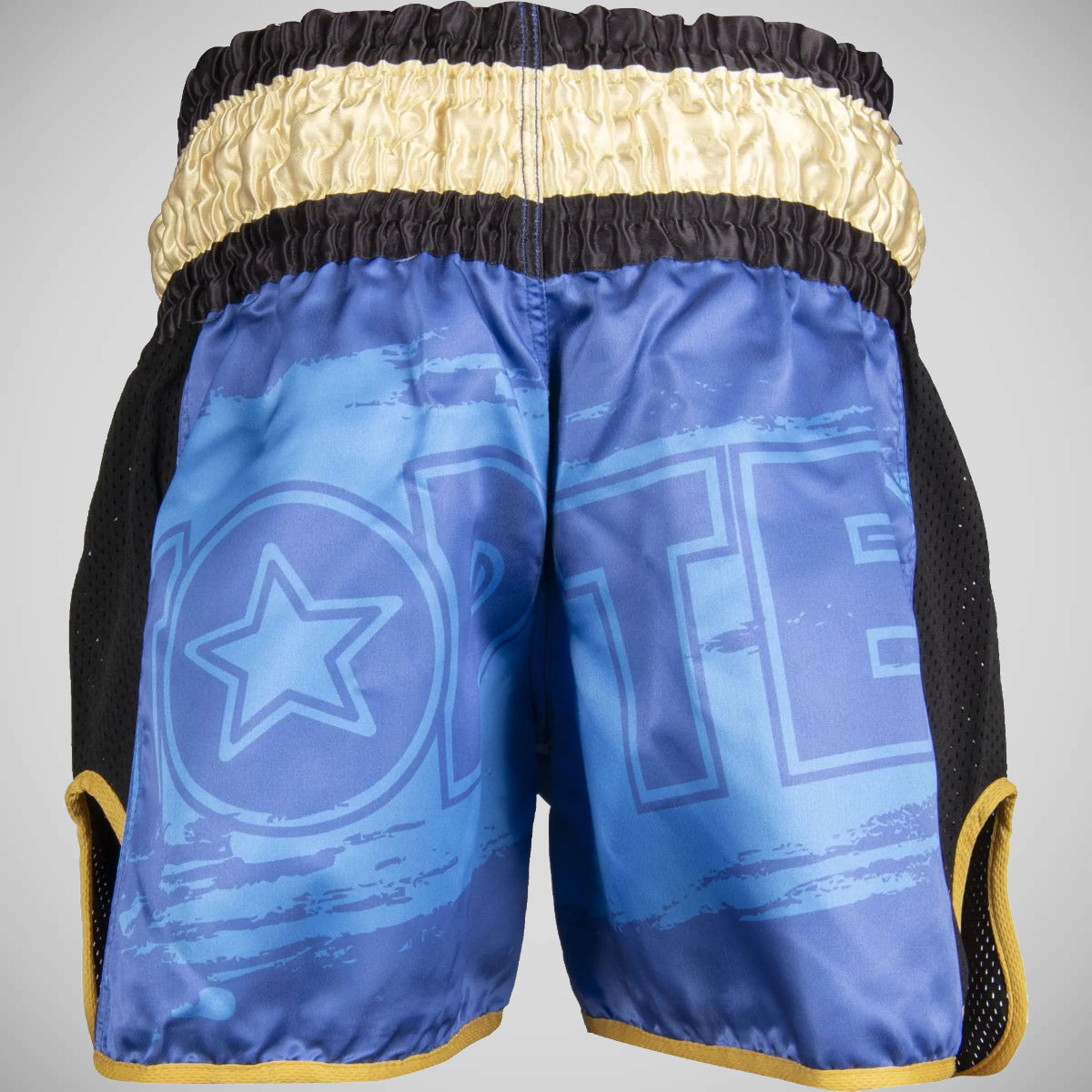 Top Ten Power Ink Kickboxing Shorts Niebieski/Złoty