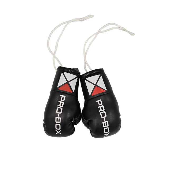 Pro-Box Miniature Leather Boxing Gloves Black