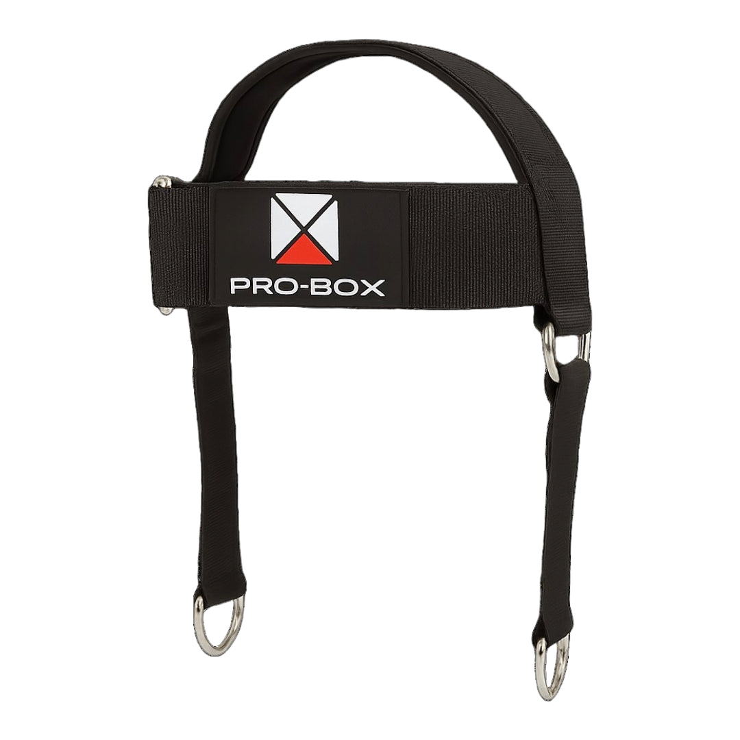 Pro-Box Head Weight Harness