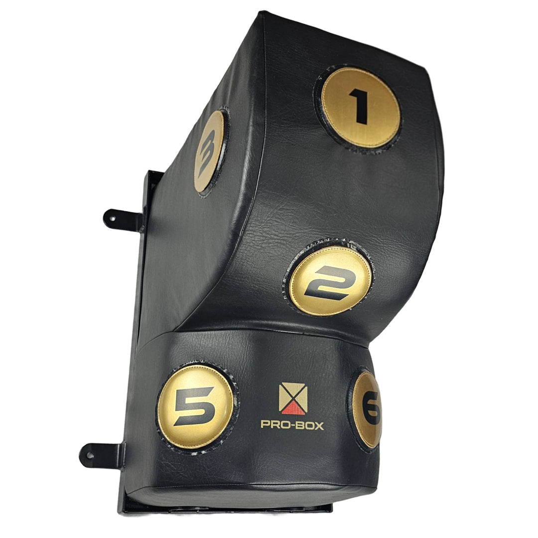 Pro-Box Champ Uppercut Wall Pad Black/Gold