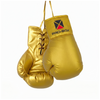 Pro-Box Autograph Boxing Gloves Gold