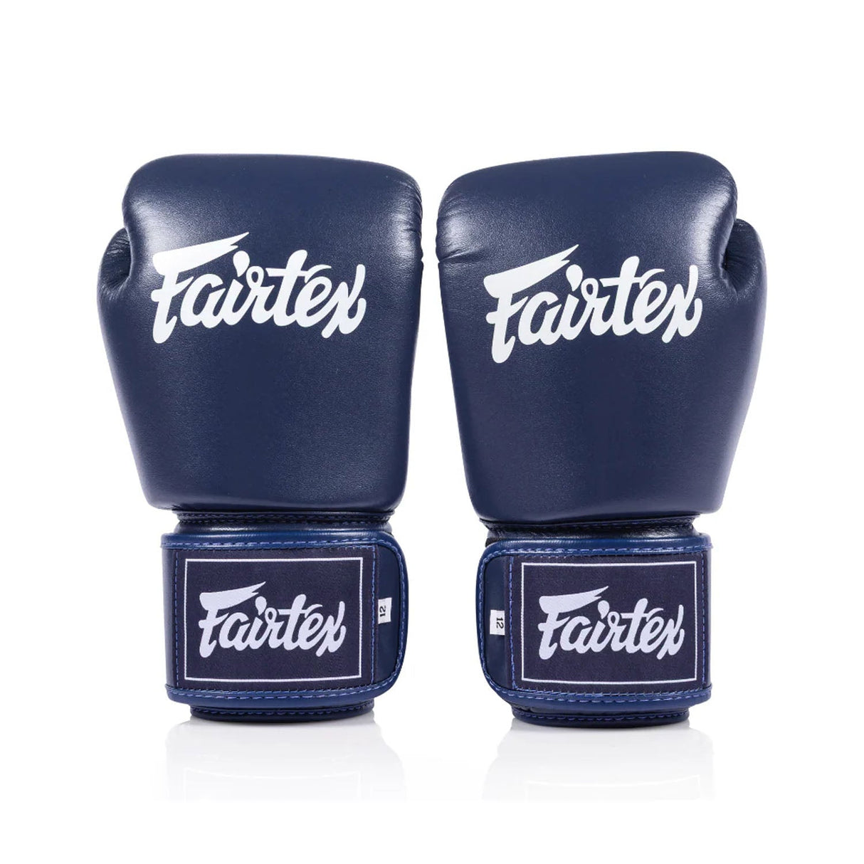 Fairtex BGV1C-PLUS Microfibre Boxing Gloves Blue
