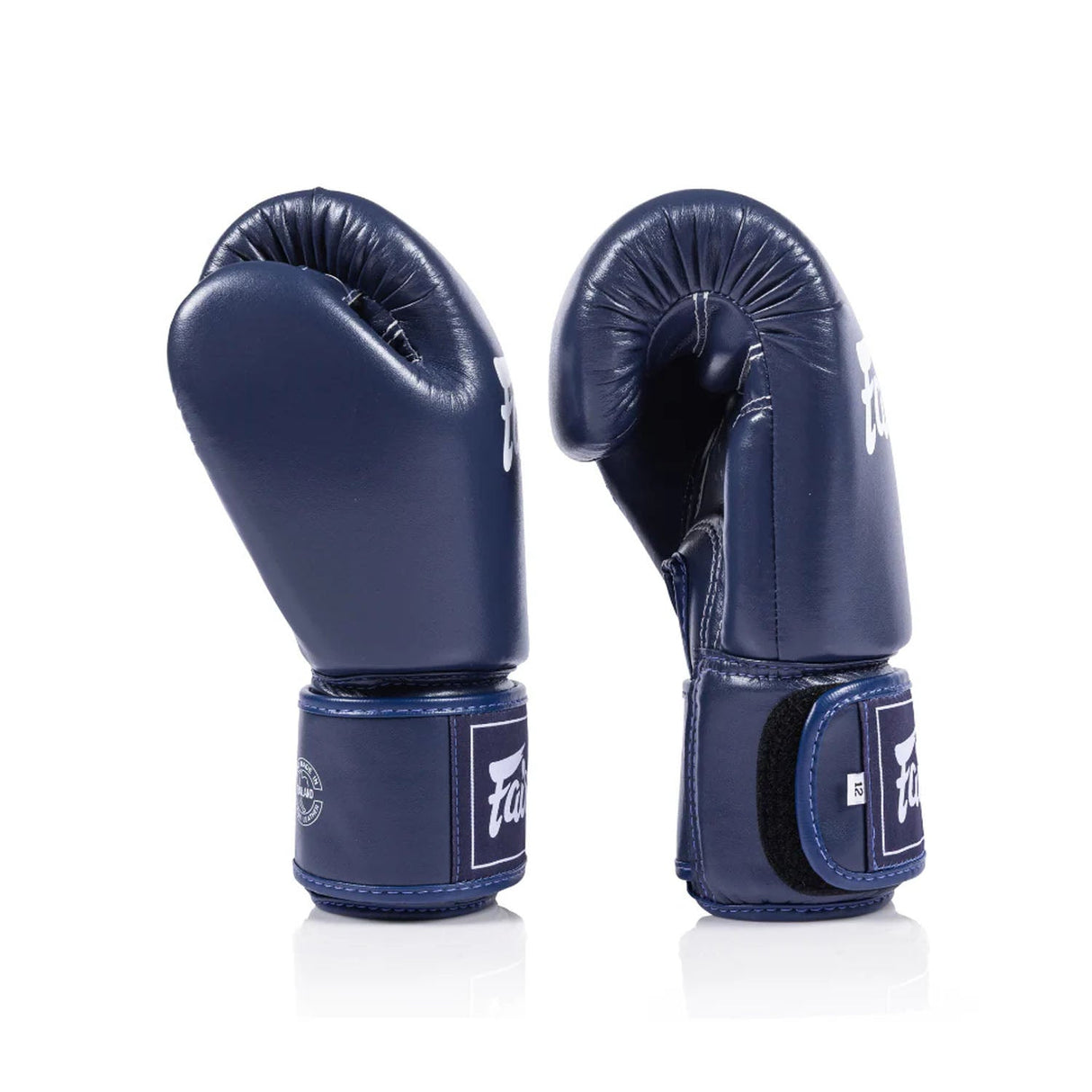 Fairtex BGV1C-PLUS Microfibre Boxing Gloves Blue