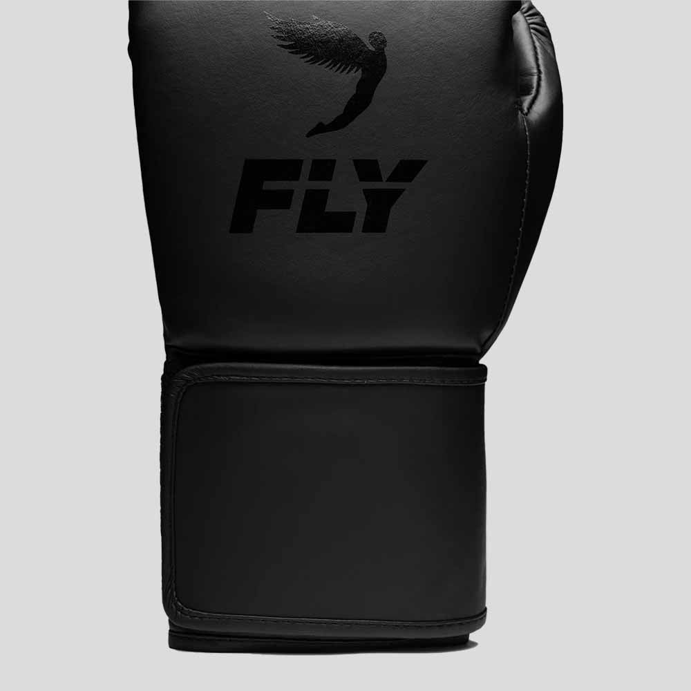 Fly Superloop Team Boxing Gloves Black/Black