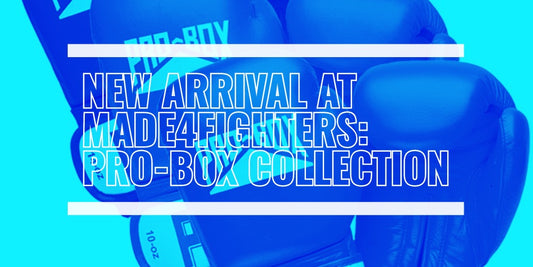 Pro Box at Made4Fighters