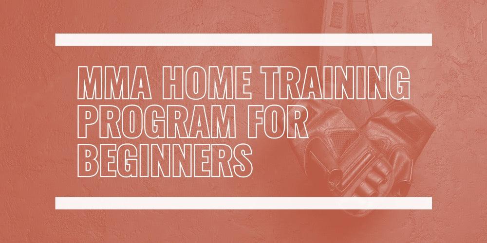 MMA home training program