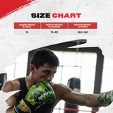Bravose Limited Edition 16oz Velcro Boxing Gloves 365 Series Green & Black