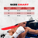 Bravose Titan Grip BBBOFC Horsehair Professional Fight Gloves White