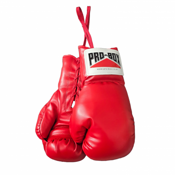 Pro-Box Autograph Boxing Gloves Red