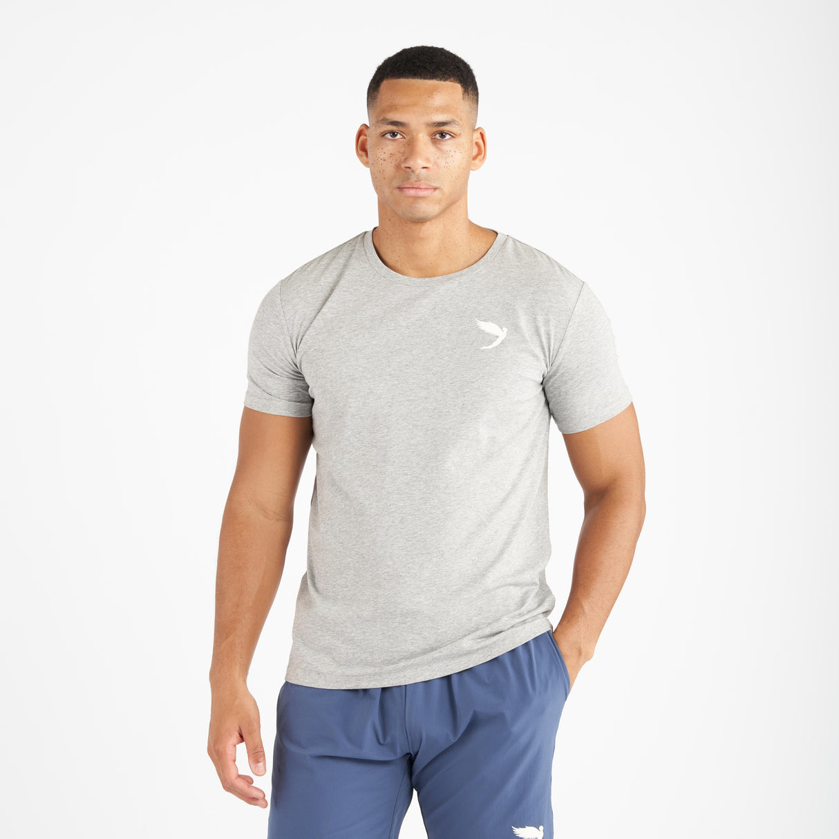 Fly Small Logo Tee Grey