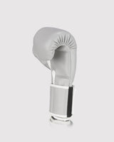 Fly Superloop X Boxing Gloves Grey