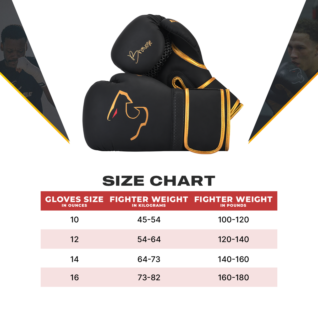 Bravose Alpha Black Edition Boxing Gloves