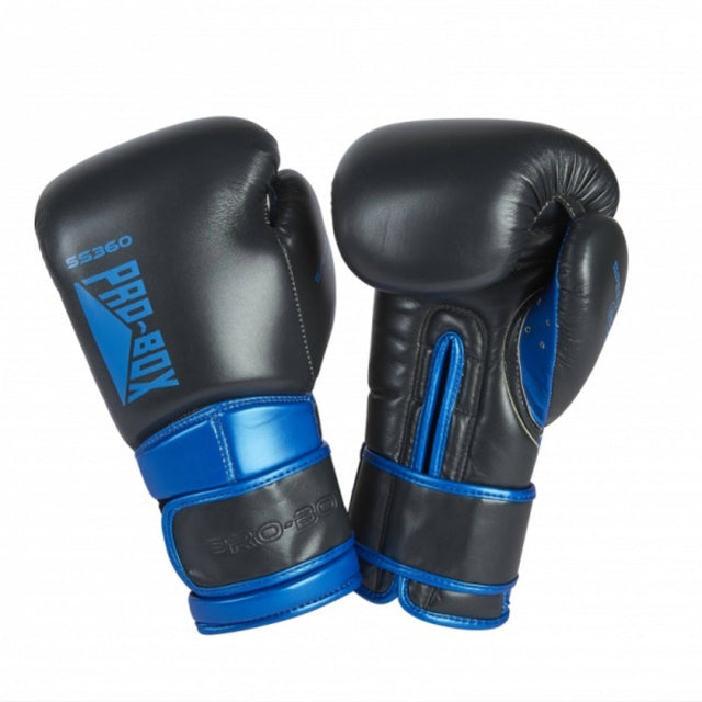 Pro-Box Speed Spar Boxing Gloves Black/Blue