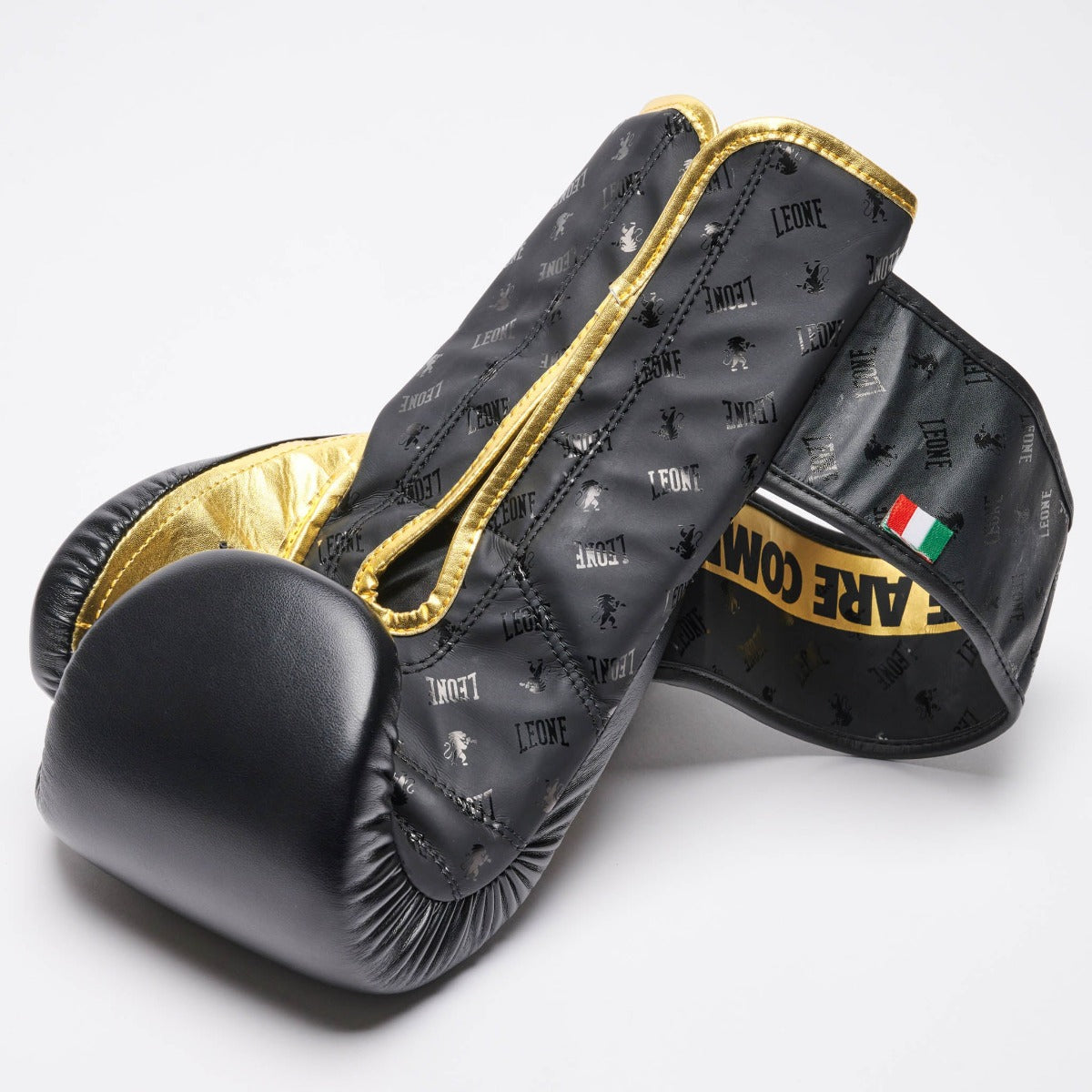 Black Leone DNA Boxing Gloves   