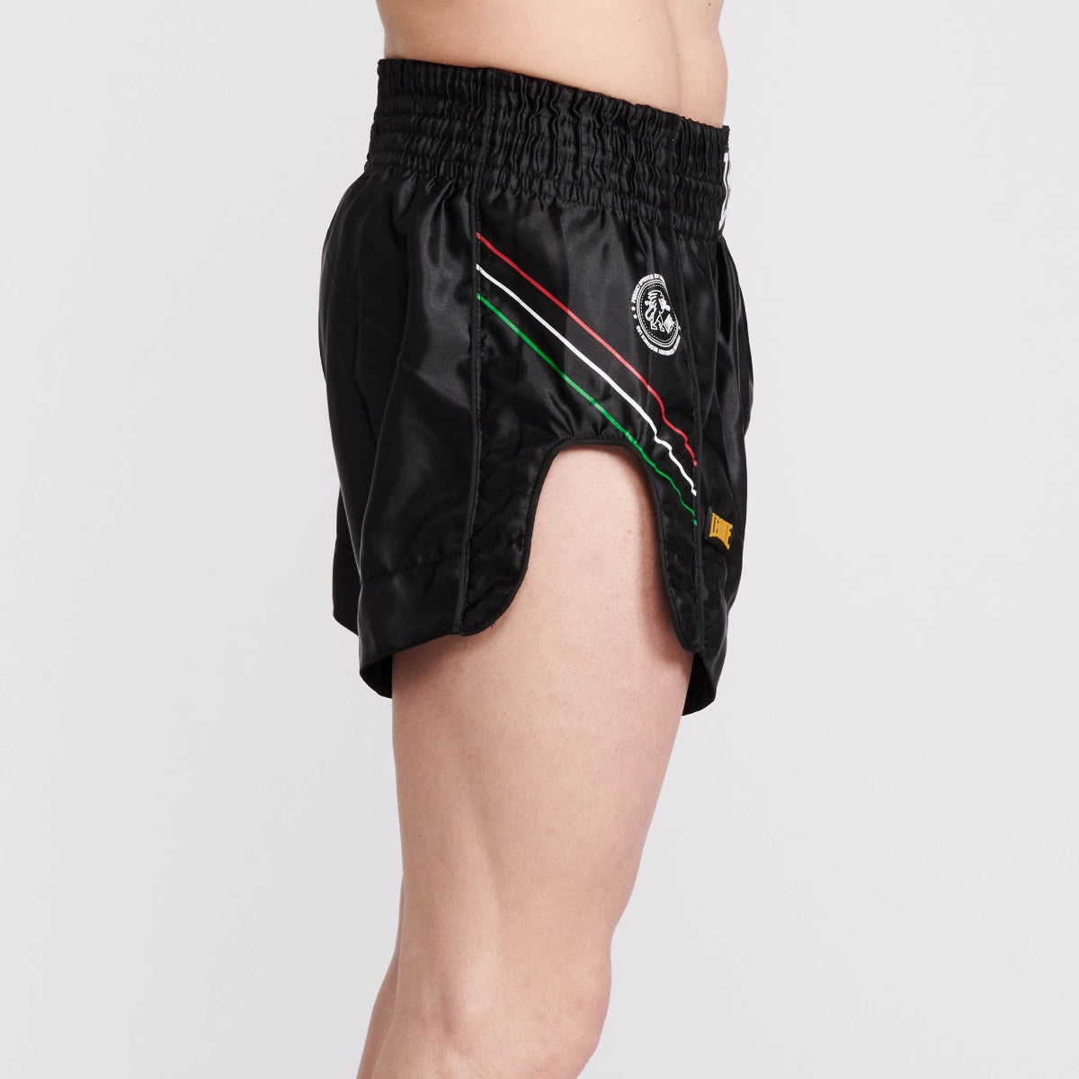 Leone Flag Thai Shorts Black