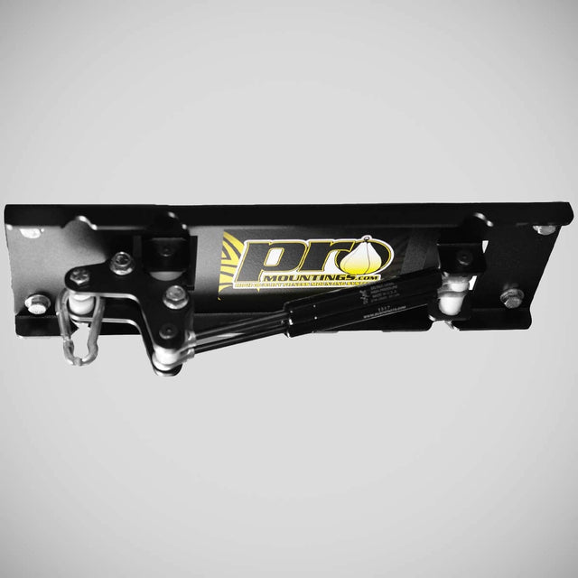 Pro Mountings CM-1000GS Ceiling Mount