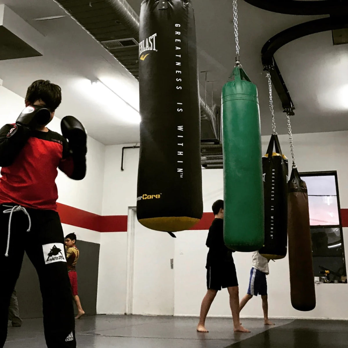 Pro Montings Roller Mount gebogene Strecke