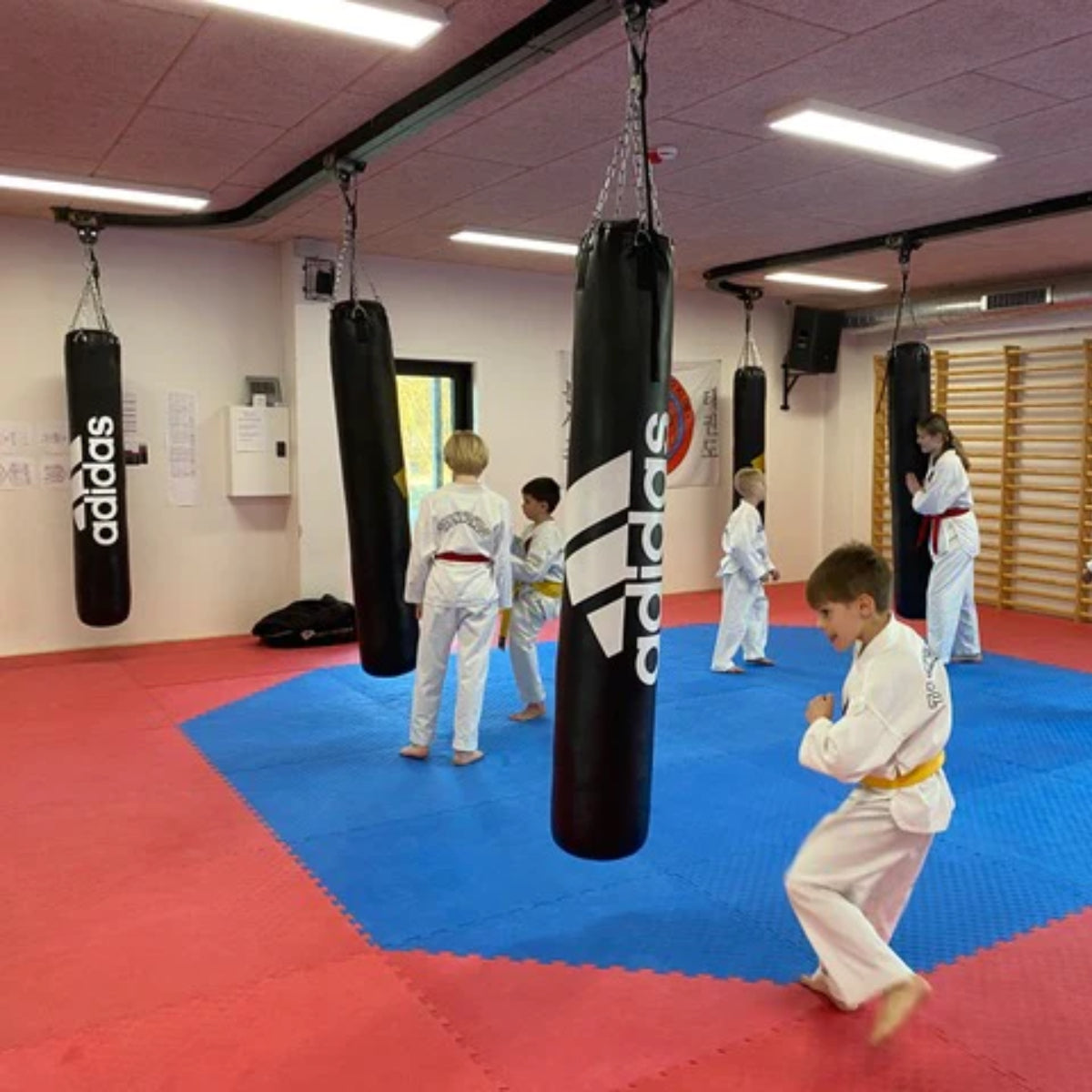 Pro Montings Roller Mount gebogene Strecke