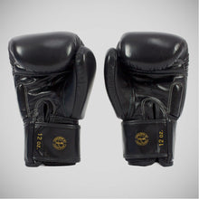 Black Fairtex BGV19 Deluxe Boxing Gloves