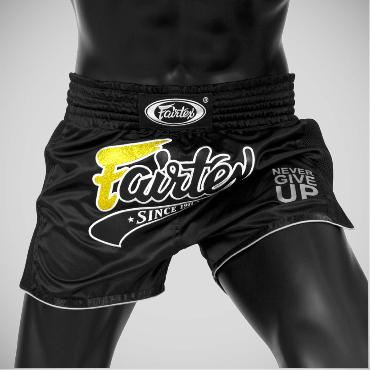 Fairtex BS1708 Slim Cut Muay Thai Shorts Schwarz schwarz