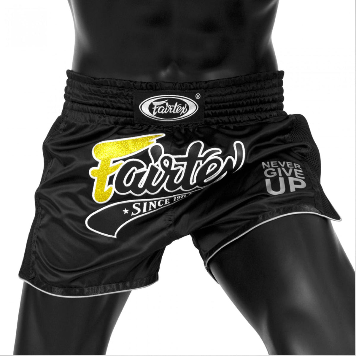 Fairtex BS1708 Slim Cut Muay Thai Shorts Schwarz schwarz