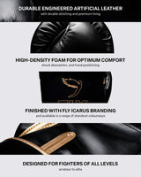 Fly Superloop Pro X 2 Boxing Gloves Black/Gold