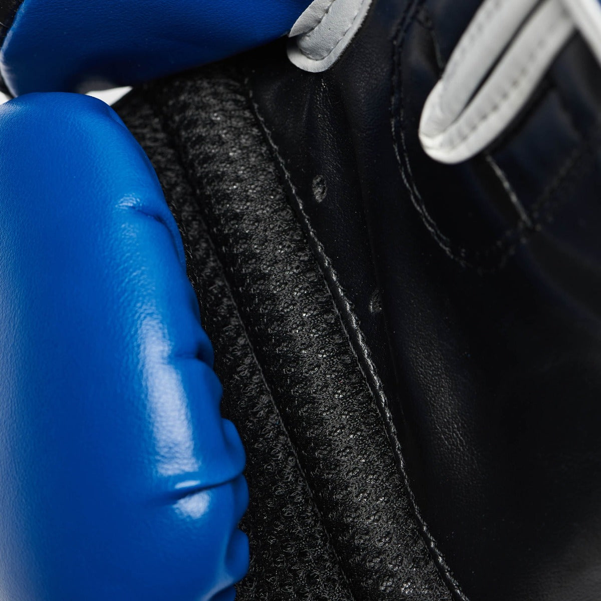 Blue Leone Flash Boxing Gloves   