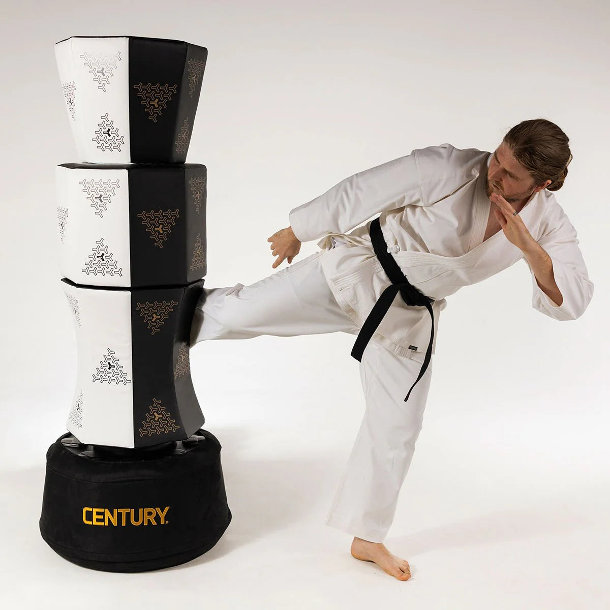 Century Wavemaster Vario Wavemaster Freesting Punch Bag
