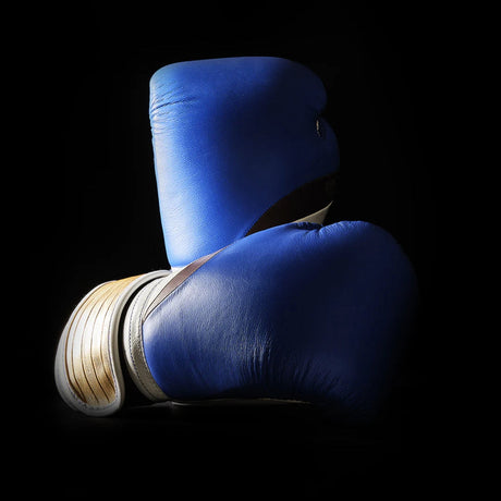 Elion Paris eleganter Drachenball Z Vegeta Boxhandschuhe