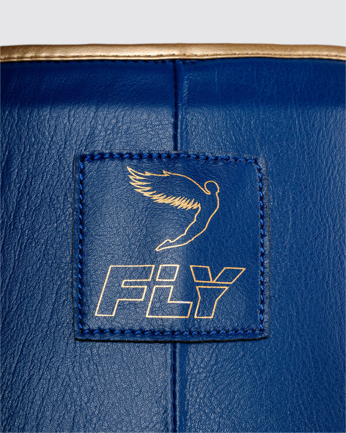 Fly Wraith X Groin Guard Space Blue/Gold