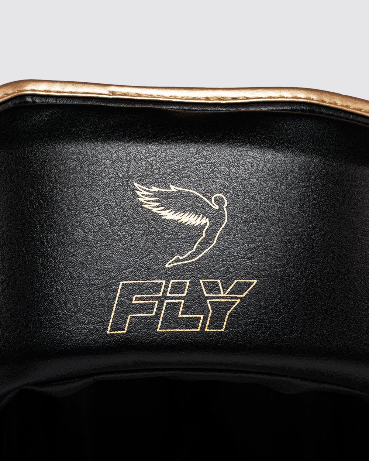 Fly Open Face X Headguard Black/Gold