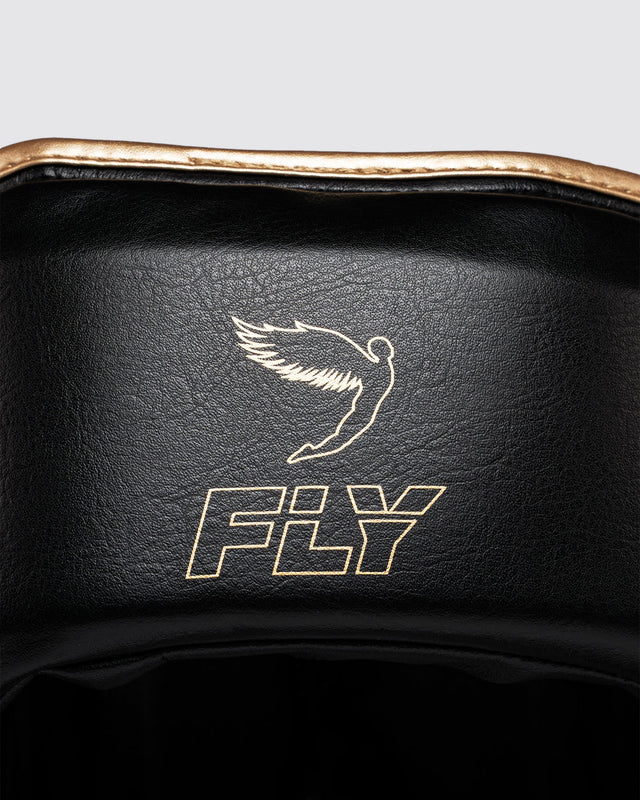 Fly Open Face X Headguard Black/Gold