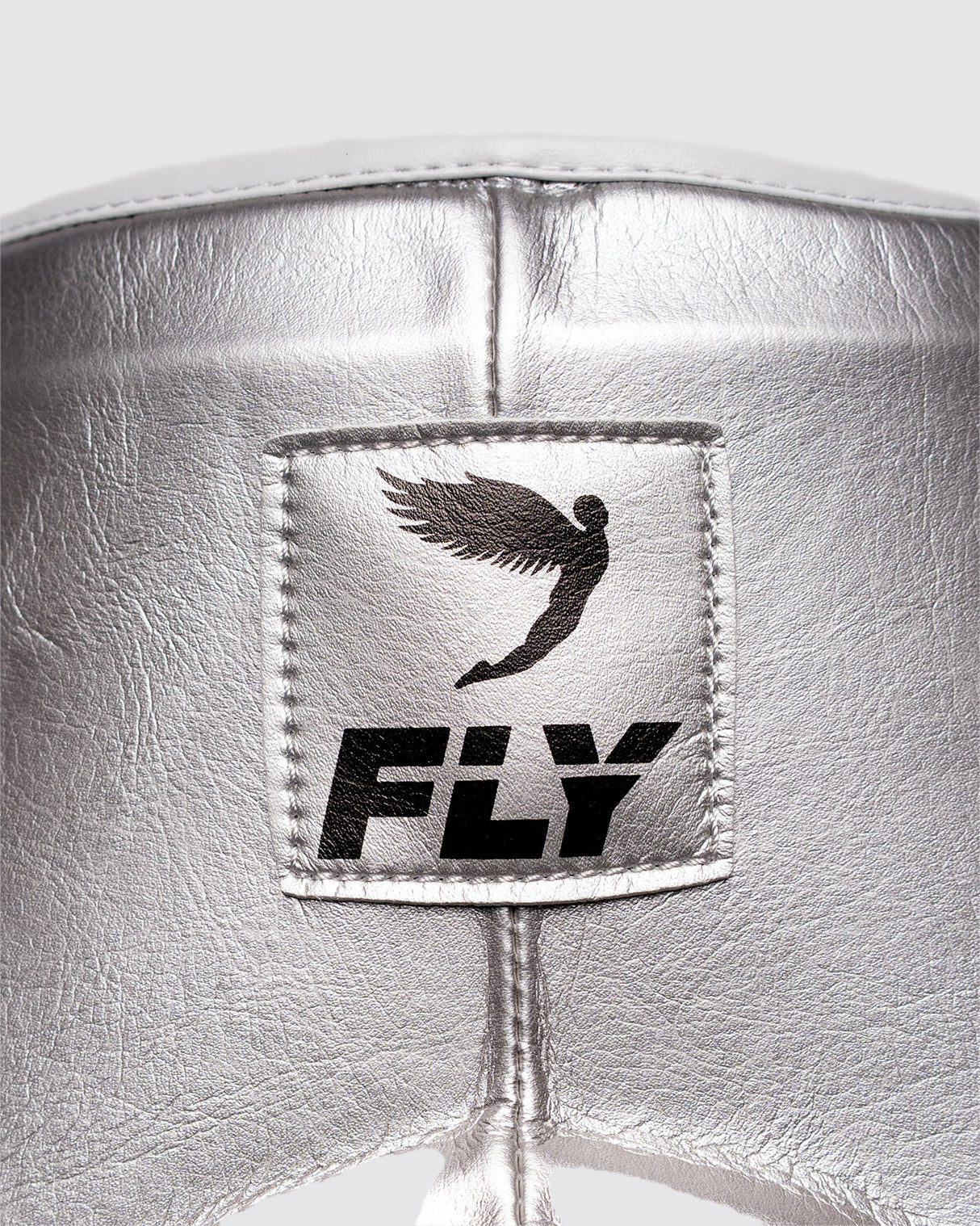 Fly Wraith X Groin Guard Silver/Neon