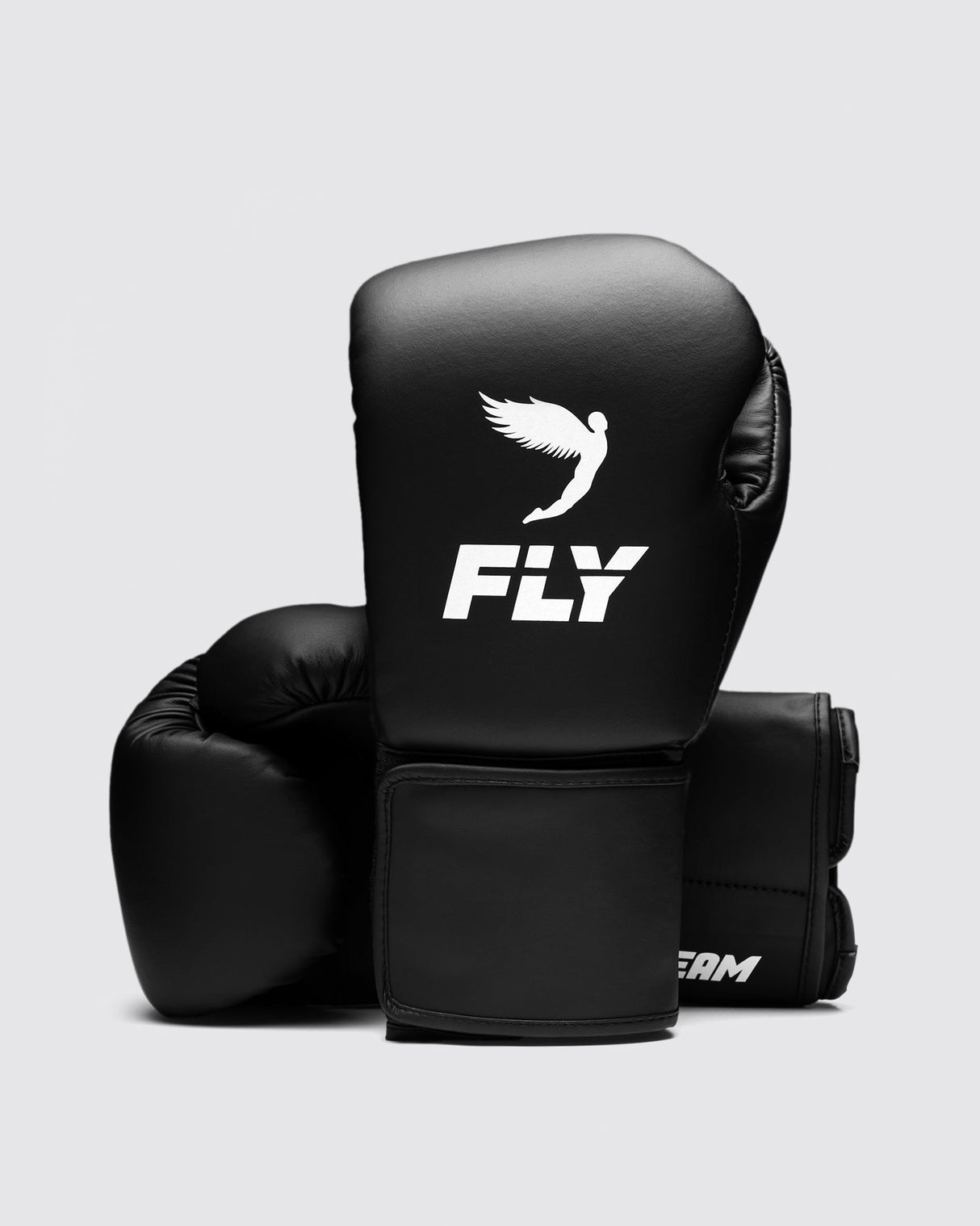 Fly Superloop Team Boxing Gloves Black/White