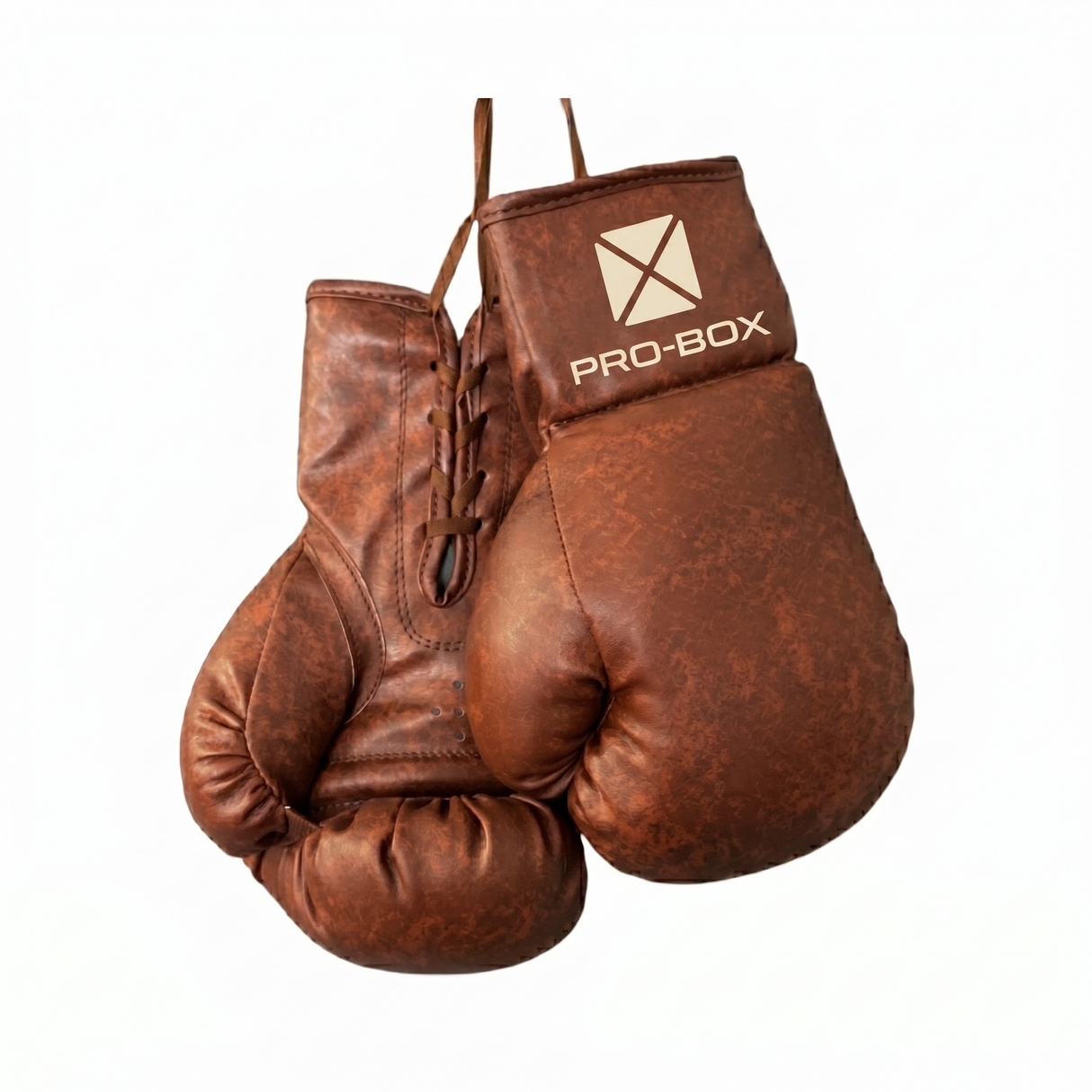 Pro-Box Autograph Boxing Gloves Vintage