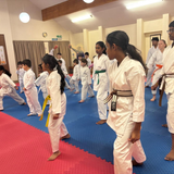 Sprung 40mm Premium EVA Tatami Mats - Karate