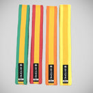 Bytomic Martial Arts Belt Purple/Gold Stripe