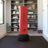 Червоний авіаперевезення століття