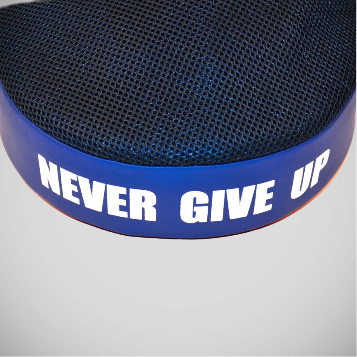 Red/Blue FMV13 Fairtex Maximized Focus Mitts   