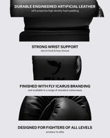 Fly Superloop Team Boxing Gloves Black
