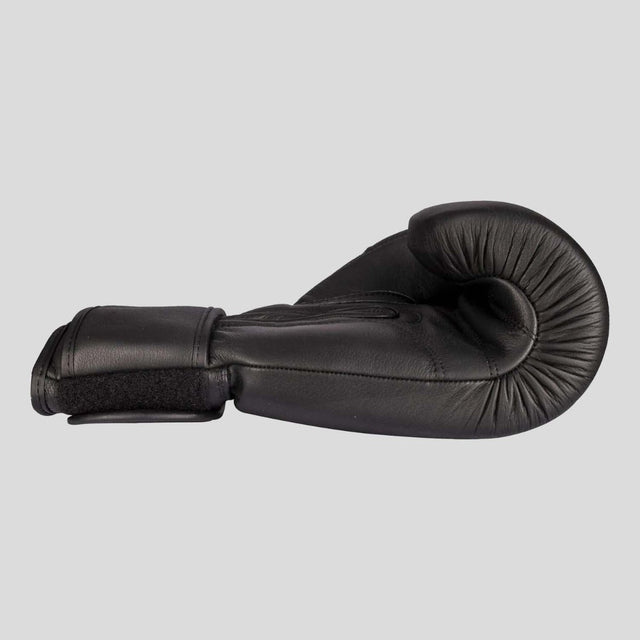 Top Ten Black Edition Boxing Gloves