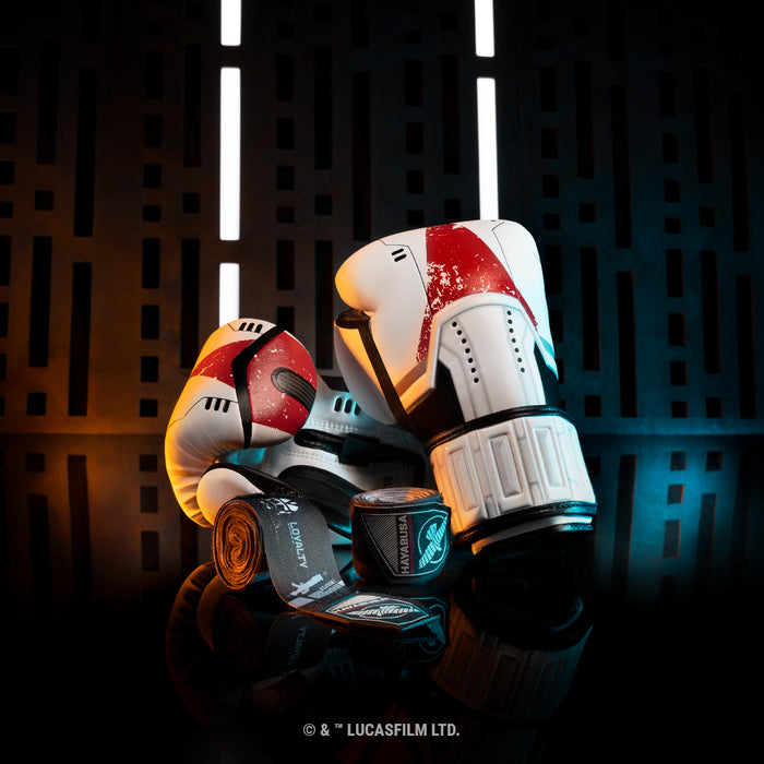 Hayabusa X Star Wars