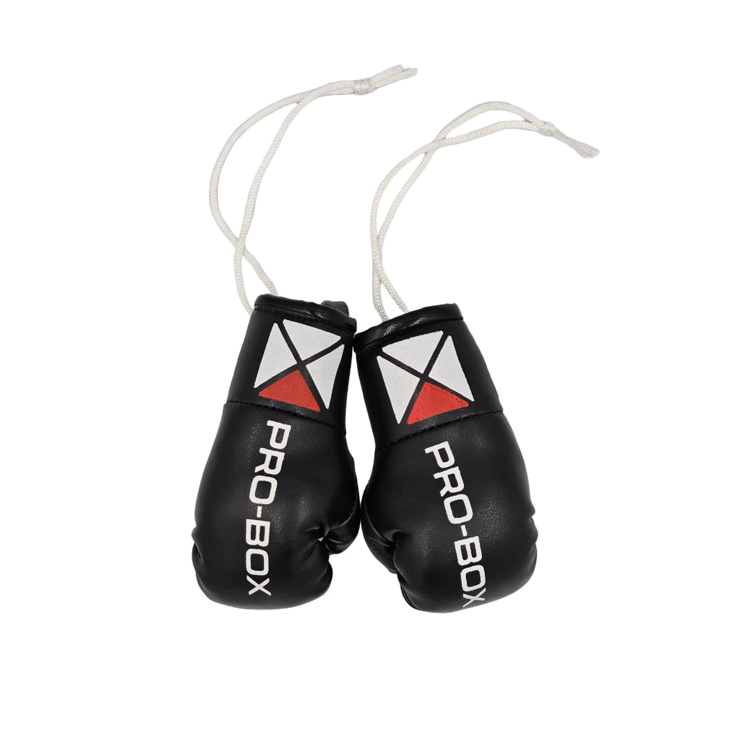 Pro-Box Miniature Leather Boxing Gloves Black