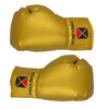 Pro-Box Autograph Boxing Gloves Gold